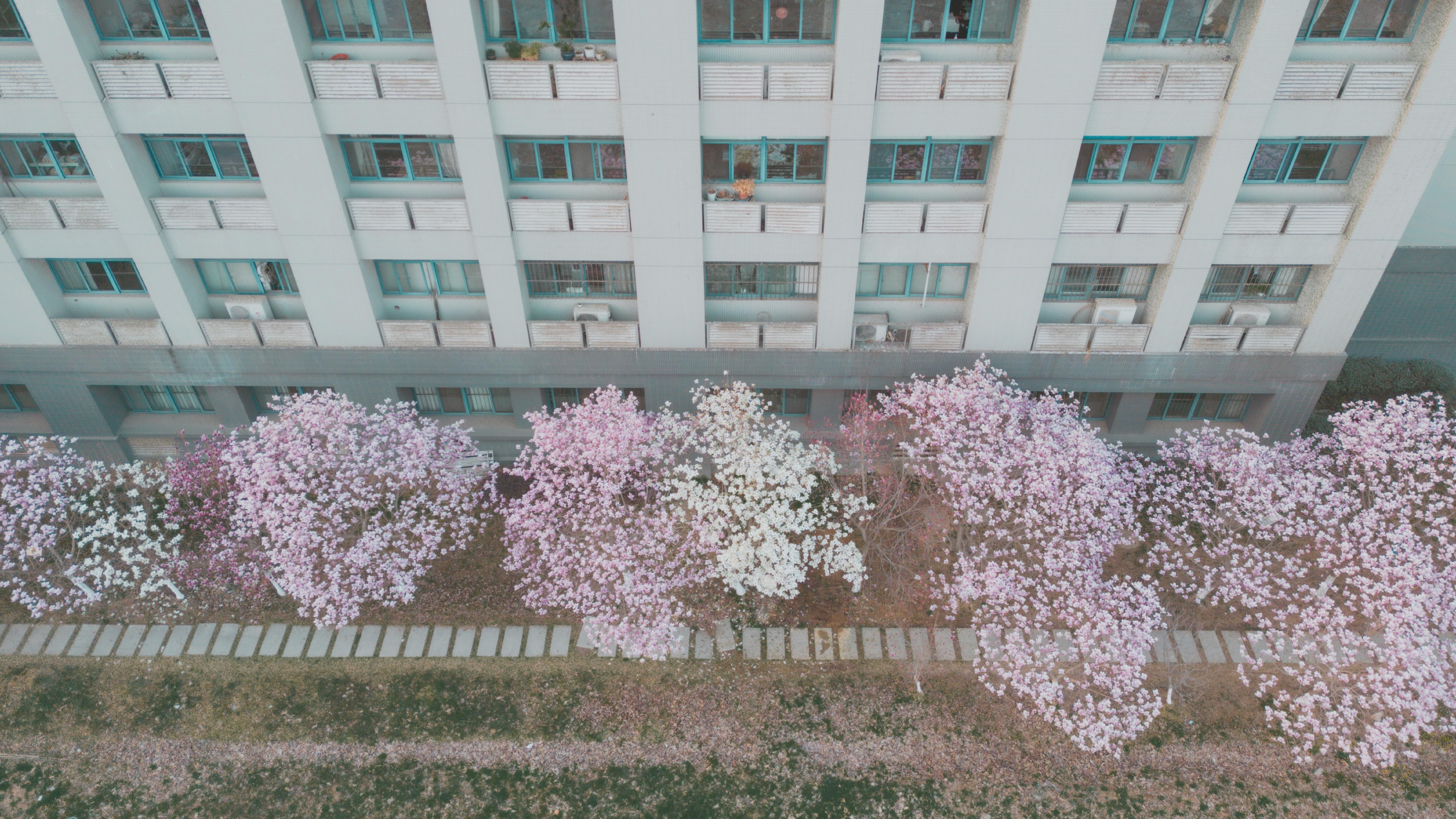 春季